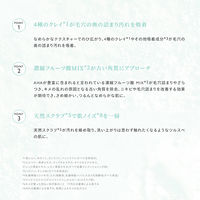 スナイデルビューティ クレイ ピール ウォッシュ 70g コスメキッチン