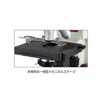 島津理化 生物顕微鏡 BA80ー9S 114-291 1台 64-5162-28（直送品）