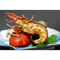 キングマカデミアンJAPAN 天然伊勢海老 活〆生冷凍 IE91102 1個（直送品）