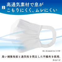 大王製紙 エリエールマスク ムレ爽快 ふつうサイズ 21001694 1箱（30枚入）