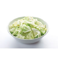 創味食品 やみつききゃべつの塩たれ 320g 1本 塩だれ 焼肉もみだれ野菜炒め 海鮮炒め 塩焼きそば