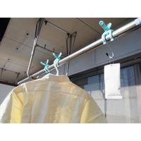 富士パックス販売 カメムシ 忌避剤 カメムシ御免 5包入り 吊り下げ 置き型 468938 1個（直送品）