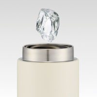 スケーター 水筒 450ml ステンレスマグボトル スヌーピー バッジ 478933 1個（直送品）