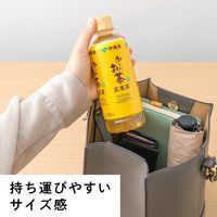 伊藤園 お～いお茶 玄米茶 ポケッティボトル 350ml 1箱（24本入）