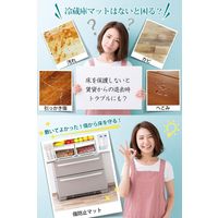 osharemart ポリカーボネイト製 冷蔵庫マット キズ防止 凹み防止 Sサイズ 53×62cm ～200Lクラス RZM-S（直送品）