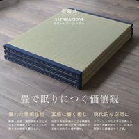 セパレジオ 国産い草 置き畳 幅880×奥行1956×高さ35ｍｍ 63x1111100-ＩＧＵ 1セット(3枚入)（直送品）