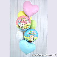 ibrex　PEANUTS(スヌーピー)バースデーパステル 1セット(5袋入) 0201519101　宝興産（直送品）