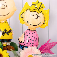 スティックバルーンIP　サリー・ブラウン 1セット(10本入) 0701010404　宝興産（直送品）