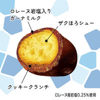 チョコレート菓子 ガーナ　ザクほろシュー＆クッキー　塩ミルク　ポップジョイ　26g 1セット（1個×12）