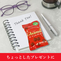 チョコレート菓子 ガーナミルクトット　プチパック　45g 1セット（1個×6）