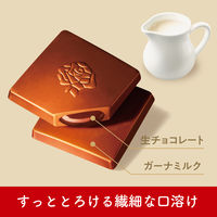 チョコレート菓子 プレミアムガーナ　濃厚生チョコレート　芳醇ミルク　12枚入 1セット（1個×3）