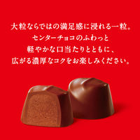 チョコレート菓子 大粒で味わうガーナ　9粒入 1セット（1個×6）