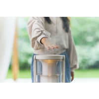 リズム MIST250 9YYA64RH84 1台