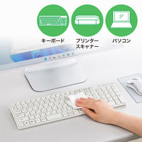 サンワサプライ  OAウェットティッシュ（パソコン用） CD-WT1KL2（直送品）