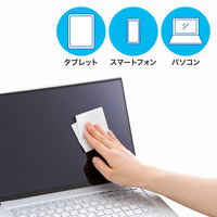 サンワサプライ  OAウェットティッシュ（液晶用） CD-WT4KL2（直送品）