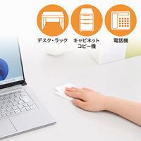 サンワサプライ  OAウェットティッシュ（強力タイプ） CD-WT6KL2（直送品）