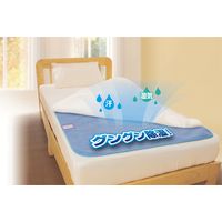 サンファミリー 洗える防ダニ除湿シート ブルー a25017 1セット(2枚組)