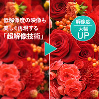 アイ・オー・データ機器 31.5インチワイド液晶モニター LCD-DF321XDB-A 1台（直送品）