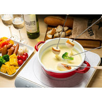 高木金属工業 ホーローフライ&フォンデュ鍋20cm RD 4975357204707 1個（直送品）