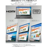JAPANNEXT 23.8インチ デュアルモバイルディスプレイ JN-DMD-IPS238F-C4 1台