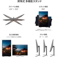 JAPANNEXT 31.5インチ ワイド 4K液晶ディスプレイ JN-V315U-HSPC6 1台