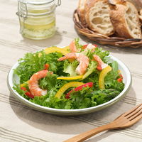 SNOOPY（Beagle Scouts 50years）ホーローサラダプレート 86001116 LOGOS/ロゴス