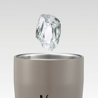 スケーター STEM5 ステンレスイージータンブラー 480ml 【ミッキーマウス】 700361-STEM5 1個（直送品）