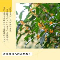 生活の木 金木犀リードディフューザー 120ｍL 1個