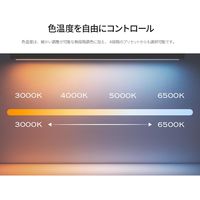 JAPANNEXT 湾曲LEDモニターライト JN-ML-R450R 1個