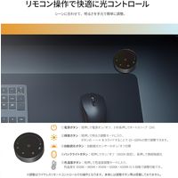 JAPANNEXT LEDモニターライト JN-ML-S425R 1個