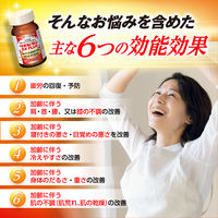 リポビタンDX PLUS 180錠 加齢による肩・首・腰・膝の不調に 目の疲れ