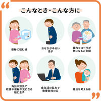 新ビオフェルミンS錠 48錠 大正製薬 乳酸菌 整腸