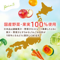 （6カ月頃から）国産やさいスムージー MINOTTA（ミノッタ） にんじんミックス 1セット（1個（70g）×6） 離乳食