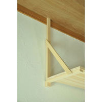 エイ・アイ・エス 棚板セット(中) 棚板中 1セット（わけあり品）