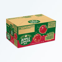 サントリー クラフトボス アップルジンジャーエール 500ml 1箱（24本入）