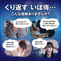 プリザ Gカプセル 24カプセル 大正製薬 いぼ痔 痔の出血・痛み・はれ【第2類医薬品】