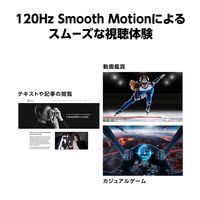 ASUS <VAシリーズ> 23.8型 液晶モニター 解像度1920x1080、IPS VA249QG 1台