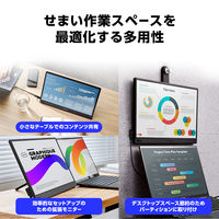 ASUS <MBシリーズ> 15.6型 モバイル液晶ディスプレイ MB169CK 1台