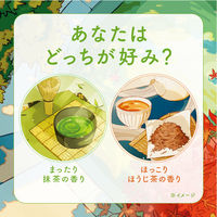 入浴剤 炭酸 アソート 温泡 グリーンティーセレクト 1セット（1箱（2種×6錠入）×4） 湯色 色付き透明タイプ アース製薬