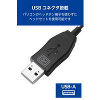 エレコム ヘッドセット 有線 USB 接続 カナル型 マイク付 高音質 音量調整 ブラック ECHS-EP21SUBK 1個