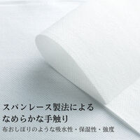 FSX おしぼり チャコールグレー 5140132 1ケース(600個(100個×6))（直送品）