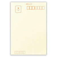 エヌビー社 特漉和紙葉書箋 大礼紙A 5101501 1冊（直送品）