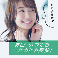 【アウトレット】【旧品】マウスウォッシュ 洗口液 口臭 モンダミン ペパーミント つめかえ 大容量 3L 歯垢 口臭防止 ネバつき アース製薬