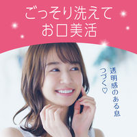 マウスウォッシュ 洗口液 口臭 モンダミン マイルドミント 600mL 1本 微刺激タイプ ノンアルコール アース製薬