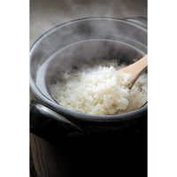 エムケー精工 小型精米機「RICELON」2合 SMー201W 1台