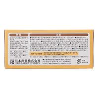 川本産業 アイパッチ Aー2 ベージュ 30P 大きめサイズ 025-500830-00 1箱