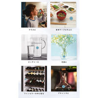 エディフィック株式会社 アクアアクティブ 4571451214361 1枚（直送品）