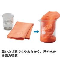 LOGOS ひんやりドライタオル ブルー ネッククーラー  8567BE007　１セット（３枚入り） LOGOS/ロゴス