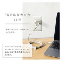 ライズクリエイション 【結束バンド付き】USBケーブル TypeーC to C グレージュ 1.2m R0496-GREIGE-120 1本