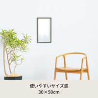 永井興産 woody ウォールミラー 幅300×奥行15×高さ500mm グレー NK-220GY 1枚